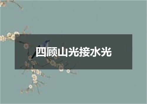 四顾山光接水光