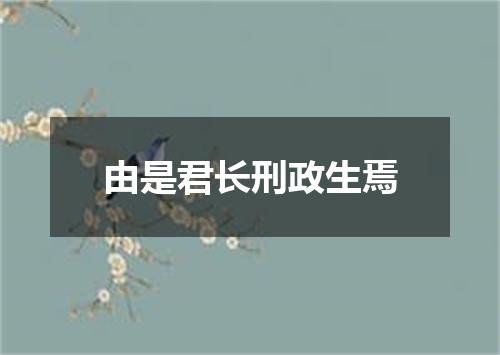 由是君长刑政生焉