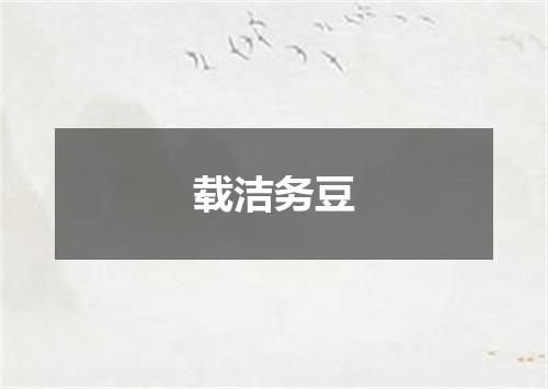 载洁务豆