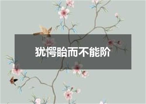 犹愕眙而不能阶