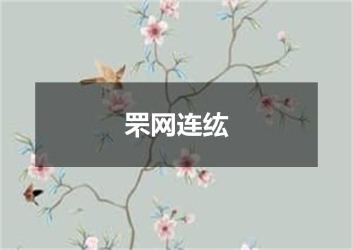 罘网连纮