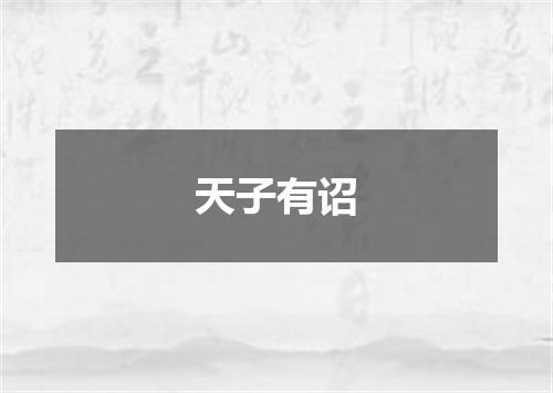 天子有诏