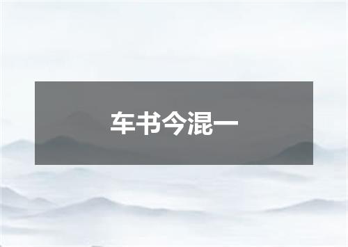 车书今混一