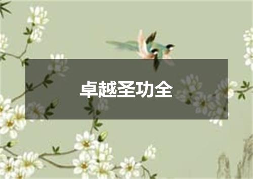 卓越圣功全
