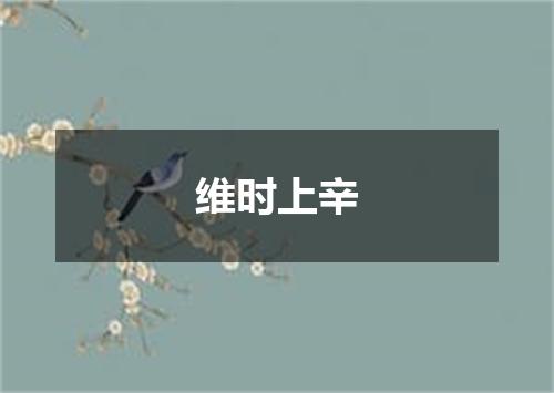 维时上辛