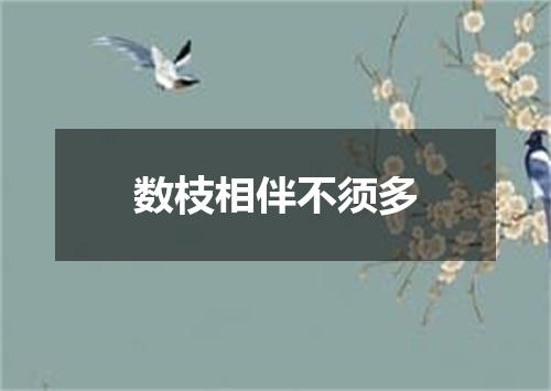 数枝相伴不须多