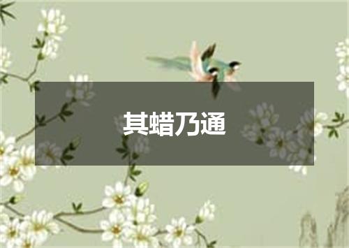 其蜡乃通