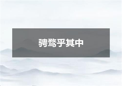骋骛乎其中