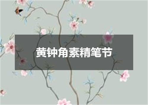 黄钟角素精笔节