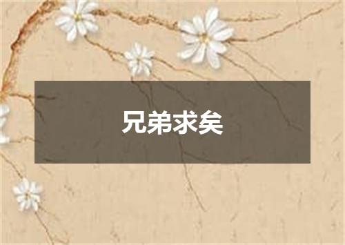 兄弟求矣