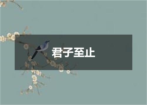 君子至止