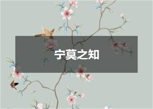 宁莫之知