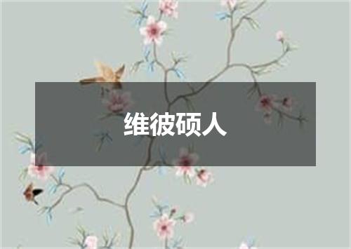 维彼硕人