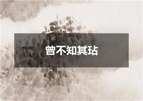 曾不知其玷