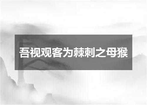吾视观客为棘刺之母猴