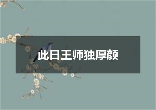 此日王师独厚颜