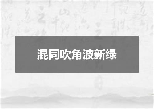 混同吹角波新绿