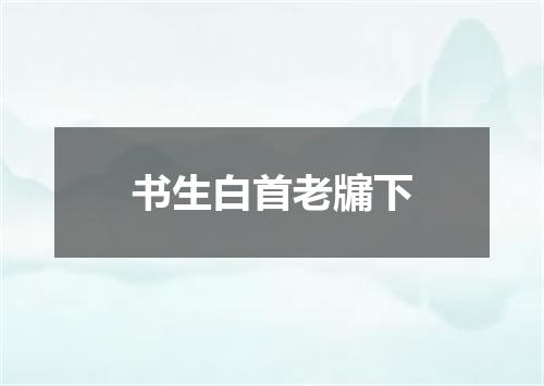 书生白首老牖下