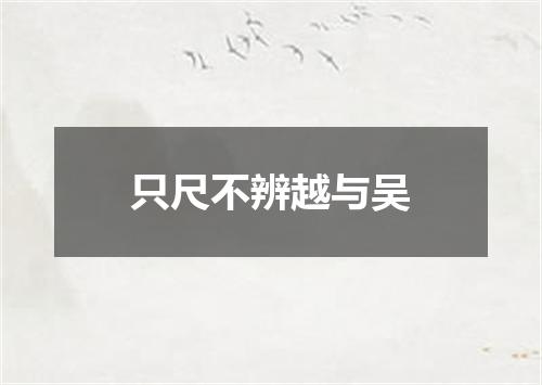 只尺不辨越与吴