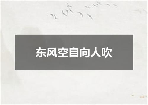 东风空自向人吹