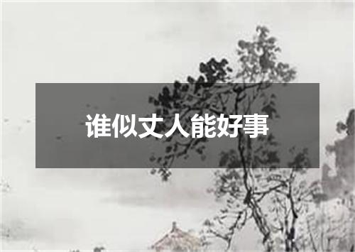 谁似丈人能好事