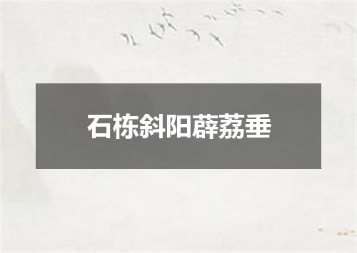 石栋斜阳薜荔垂