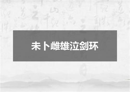 未卜雌雄泣剑环