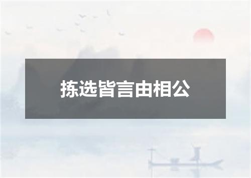 拣选皆言由相公