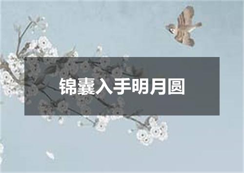 锦囊入手明月圆