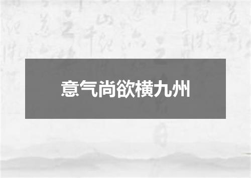 意气尚欲横九州