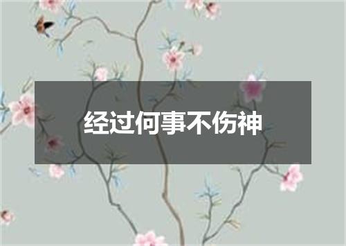 经过何事不伤神