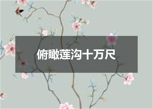 俯瞰莲沟十万尺
