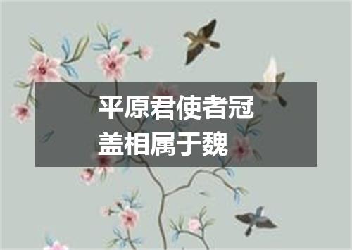 平原君使者冠盖相属于魏