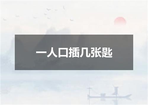 一人口插几张匙