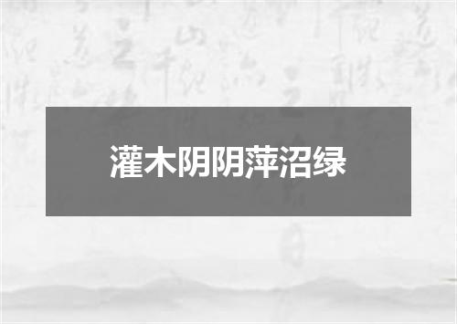 灌木阴阴萍沼绿