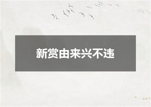 新赏由来兴不违