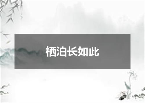 栖泊长如此