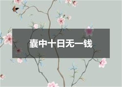 囊中十日无一钱