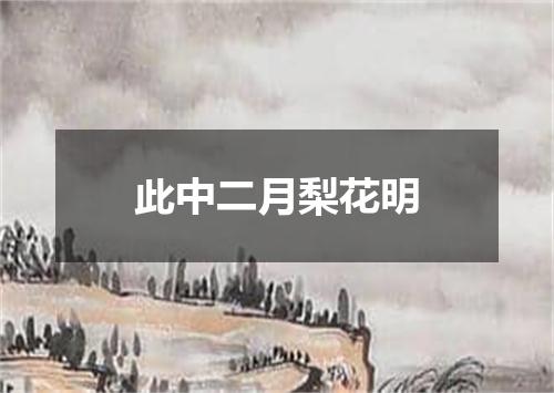 此中二月梨花明