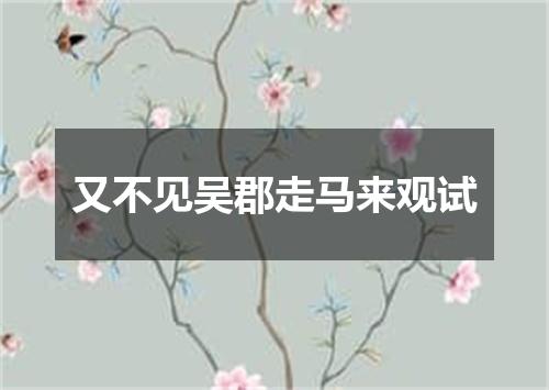 又不见吴郡走马来观试