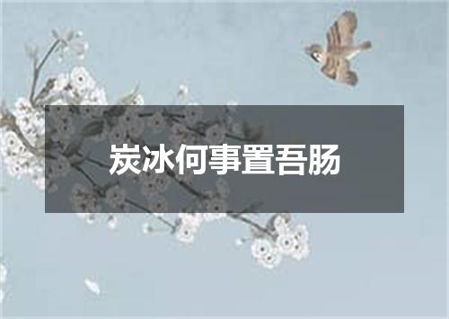 炭冰何事置吾肠