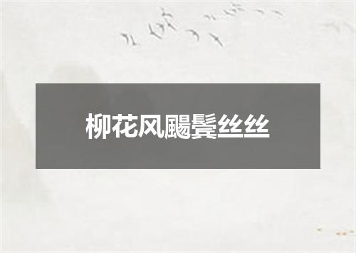 柳花风颺鬓丝丝