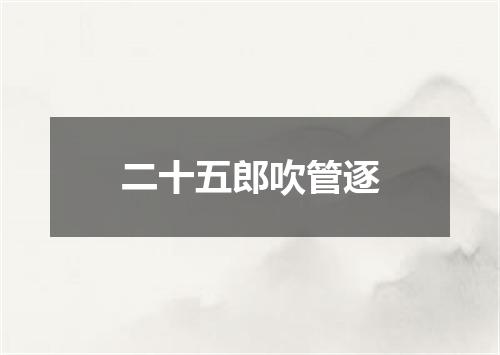 二十五郎吹管逐