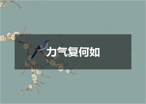力气复何如