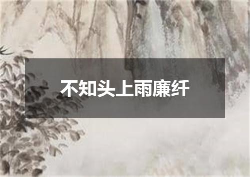 不知头上雨廉纤
