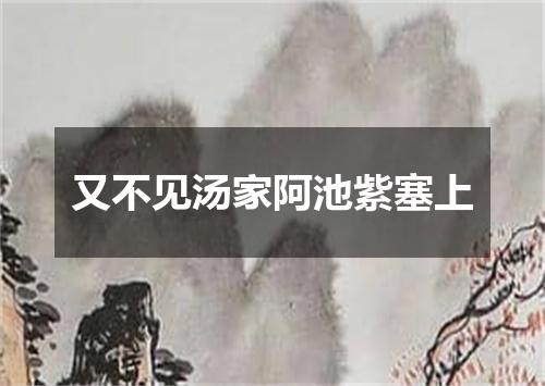 又不见汤家阿池紫塞上