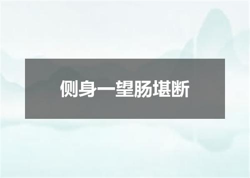 侧身一望肠堪断