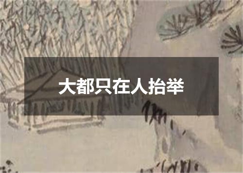 大都只在人抬举
