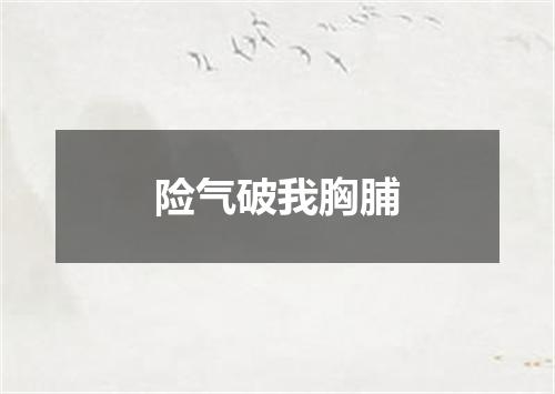险气破我胸脯