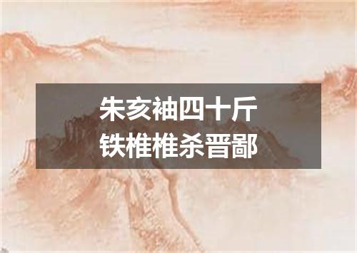 朱亥袖四十斤铁椎椎杀晋鄙